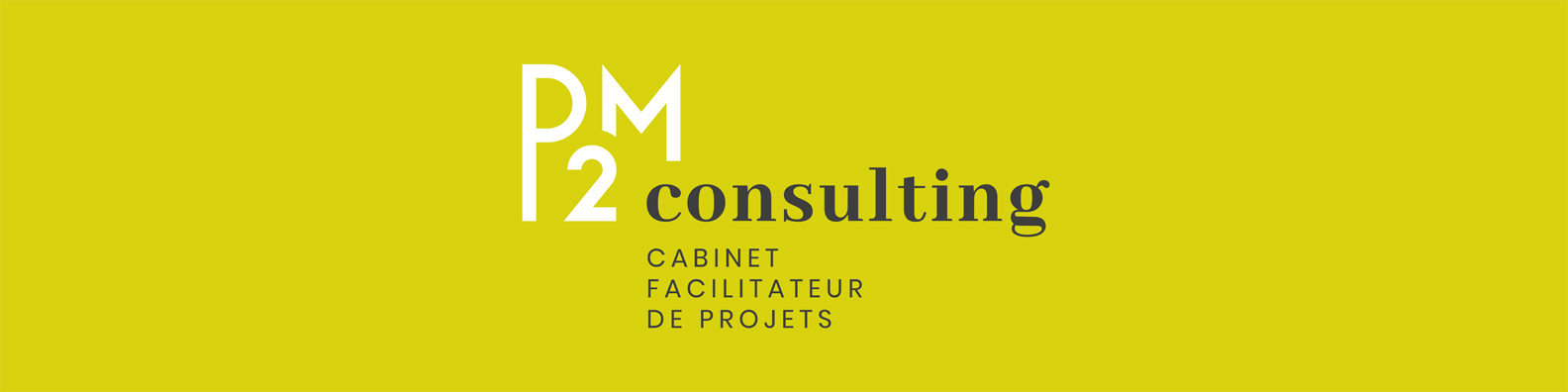 Lire la suite à propos de l’article P2M Consulting rencontre les managers de demain