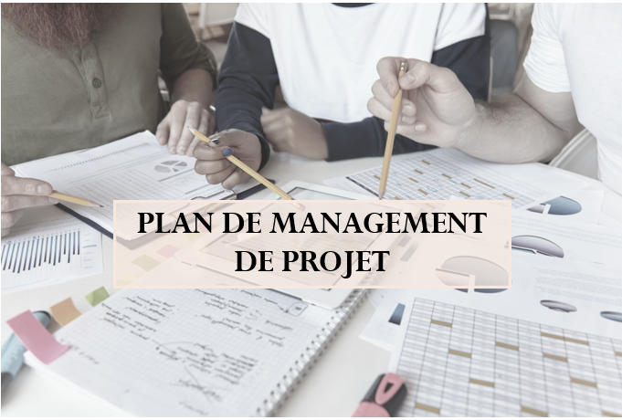 Plan de Management de projet par P2M Consulting